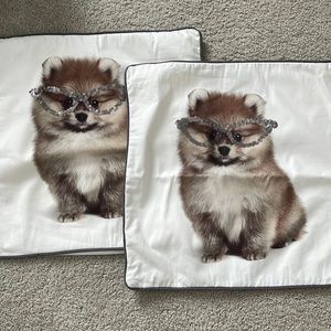 Pottery Barn Teen PillowCases 18 x 18 Dog Glasses